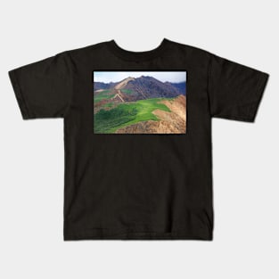 Sable Pass, Denali National Park II Kids T-Shirt